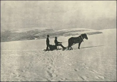 Il s'agit d'un de nos documents les plus anciens, il date de 1895 : le traîneau tiré par un cheval traverse un glacier dans la région de Hardangerfjord, dans le comté d'Hordaland. Le tout a bien changé depuis, c'est maintenant un parc national et l'on y opère un centre de ski. 
Mais où était-ce ?