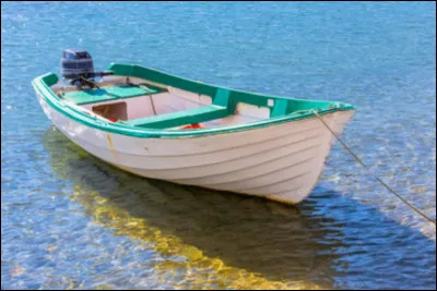 Vous cherchez à embarquer vers une île et vous trouvez un pêcheur qui pourrait vous y conduire, mais qui semble réticent. Que faites-vous ?