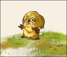 Qui est cette crature? Pour quel donjon est-elle le boss?