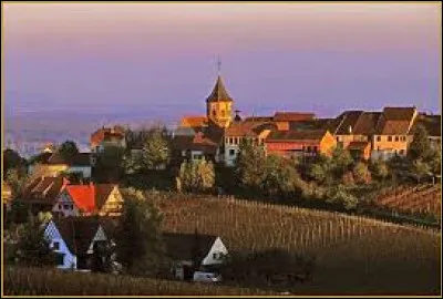 Je vous propose une balade dans le Grand-Est à la découverte de Zellenberg. Village non loin de Kaysersberg, perché sur une colline dominant le vignoble, il se situe dans le département ...