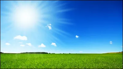 Qui chantait "Sous le soleil exactement" ?