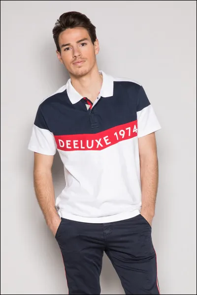 Où parle-t-on le gaélique ?