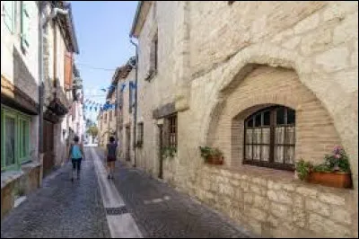 Voilà, notre balade peut commencer. Nous flânons dans les rues de Castelnau-Montratier. Ancienne commune midi-pyrénéenne, dans le Quercy, elle se situe dans le département ...