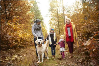 Quel est le mot espagnol pour "promener" ?