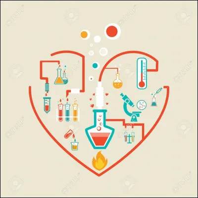 Que forme le zygote une fois la mitose commencée ?