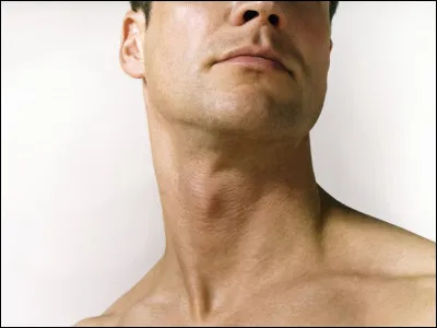 Quel tissu couvre la trachée lorsqu'on avale pour empêcher les aliments de pénétrer dans les poumons ?