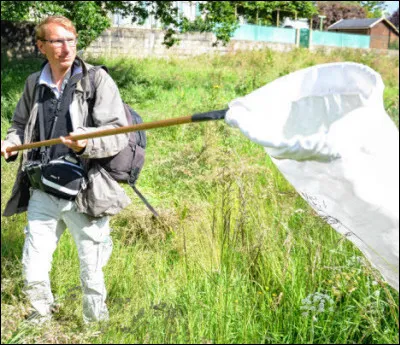 Un bon petit ... - A la ... de ... - La jambe ... et l'oeil ... !