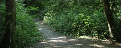 Ce petit chemin ... Ce petit chemin ... !