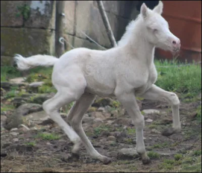 C'était un ... - Tous ... - C'était un ... - Tous ... et lui ... !
