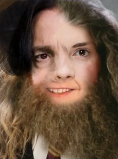 Un quatrième personnage de la saga HP a rejoint le casting, de qui s'agit-il ?