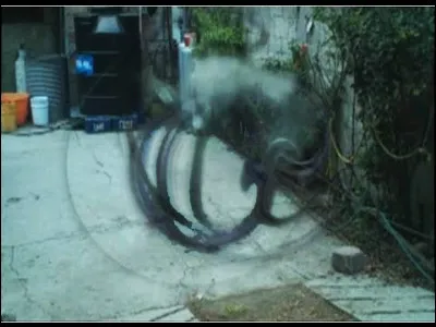 Qui obtient en premier son permis de transplaner ?