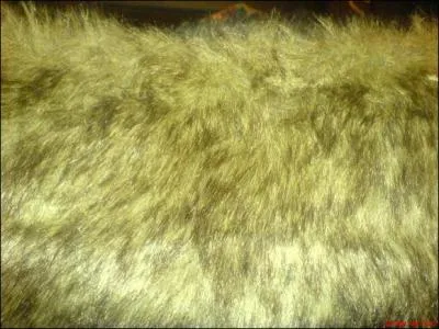 A quel animal appartient ce pelage?