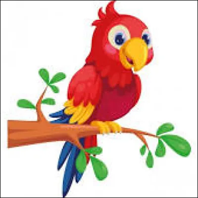 Pour un architecte, qu'est-ce qu'un "perroquet" ?