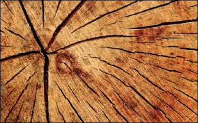 Chez le menuisier, qu'appelle-t-on "la carotte" ?