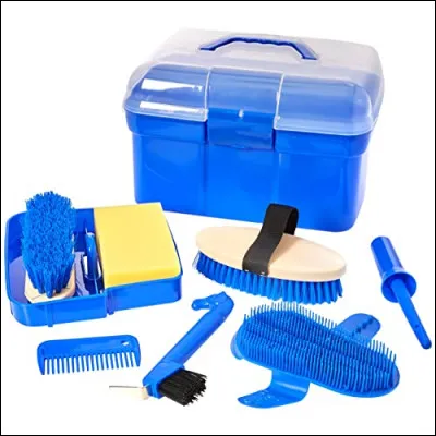 Comment bien panser un cheval ?