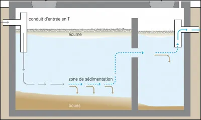 Quel mot est mal orthographié ?