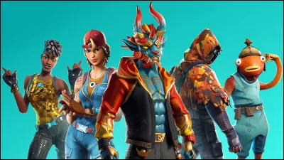 Les skins servent à...