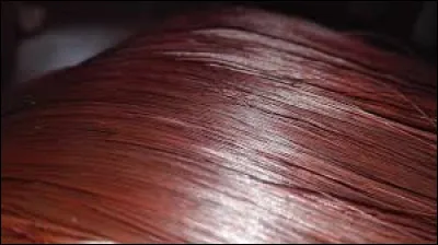 Comment nomme-t-on ce type de roux ?