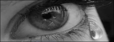 "I'm jealous of the love
Love that was in here"
Que constitue "that" ici ?