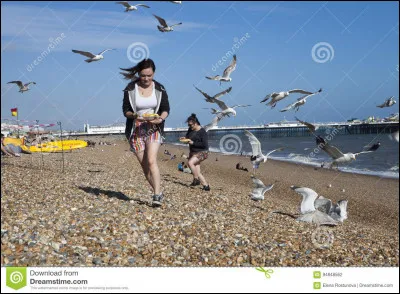 Quel est le partenaire à l'écran de Clint Eastwood dans le film "Quand les aigles attaquent" ?