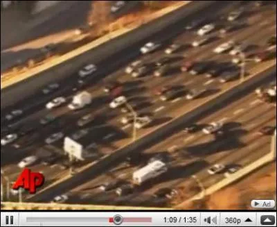 Le 18 fvrier, la police est intervenue sur une autoroute d'Atlanta pour rcuprer un animal. Lequel ?