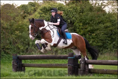 Pour sauter dans l'eau, il faut que le cheval ait confiance en soit, et d'autre part que la zone de réception soit ferme et plate.