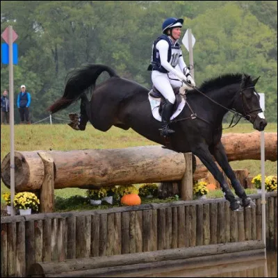 Décris-moi le coffin.