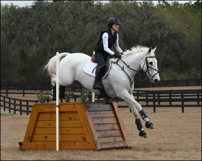 Un obstacle doit être assez large, au moins...