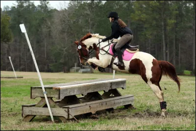 Quels obstacles existent en cross ?