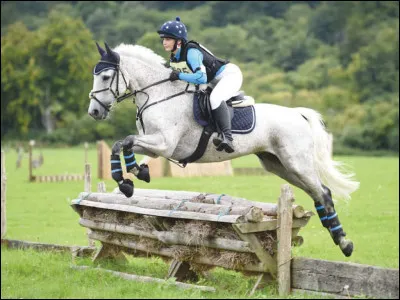 Coche ce qui fait de bonnes garnitures pour un obstacle de cross.