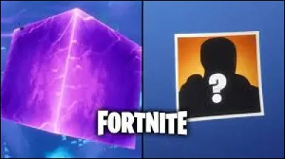 Lequel de ces skins Fortnite n'existe pas ?