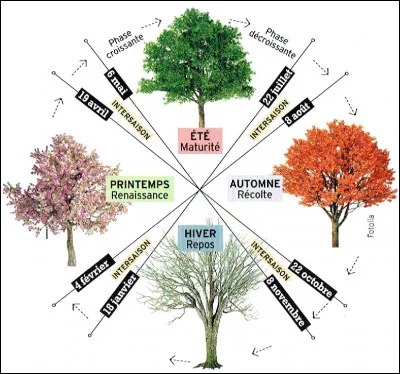 Quelle est ta saison préférée ?