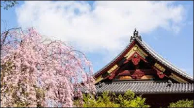 Quel pays nomme-t-on "Pays du Soleil Levant" ?