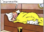 Quiz Tintin, les pieds dans les couvertures
