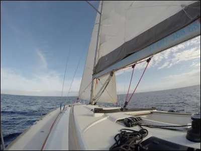 Qui n'est pas un navigateur célèbre ?