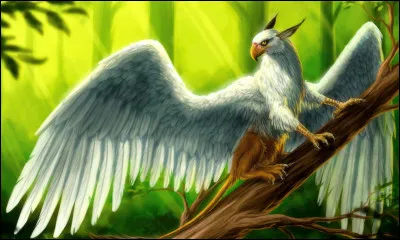 Aimez-vous &ecirc;tre en groupe ?