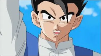 À la fin de l'arc, pourquoi Trunks est-il fier de Gohan quand il repart dans le futur ?