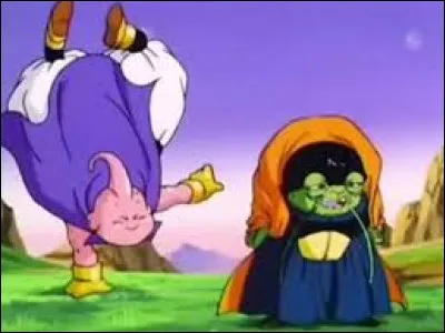 Qui a été son premier maître ?