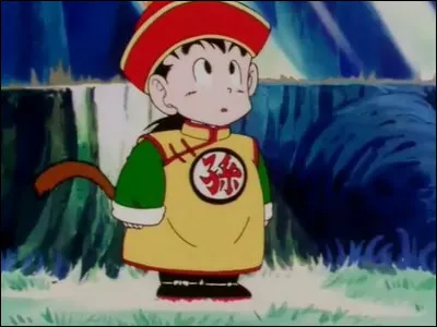 Qui va devenir le maître de Gohan après la mort de Goku contre Raditz ?