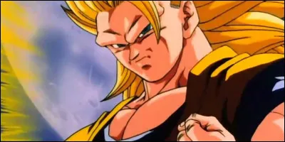 Quelle transformation n'a jamais été utilisée dans "Dragon Ball Z", film y compris ?