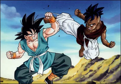 Combien d'années se sont écoulées entre la fin du combat contre Bou et la fin de "Dragon Ball Z" ?