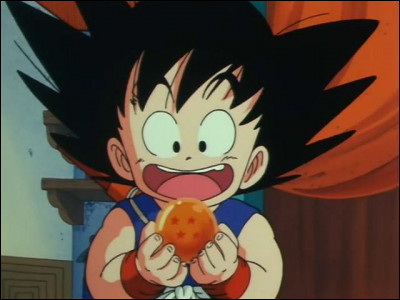 Qui est la première personne que Goku rencontre dans le premier épisode de la série ?
