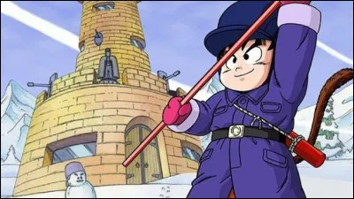 Quel est le nom de l'armée qui veut dominer le monde avec l'aide des "Dragon Ball" ?