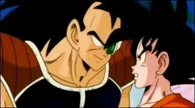 Qui est Raditz par rapport à Goku ?