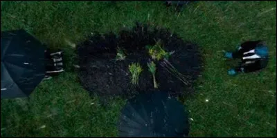 Dans "X-Men : Dark Phoenix", qui meurt après le contact de Jean ?