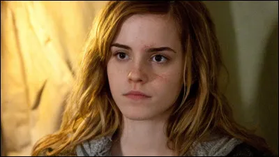 Quelle insulte est utilisée pour "blesser" Hermione ?