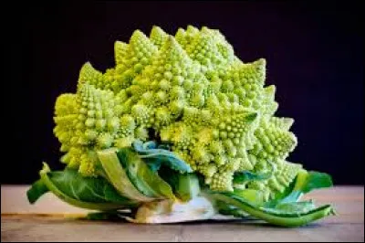 Sur la photo, on y voit un chou romanesco.