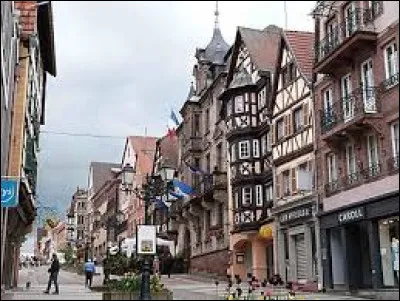 La ville de Saverne se situe dans le Bas-Rhin.
