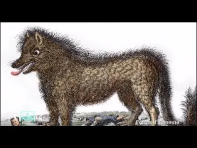 Pourquoi le Comte de Morangiés s'est-il servi de la 
Bête du Gévaudan ?