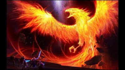 Quels sont les pouvoirs des larmes du phénix ?